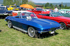 2010 US-Car Treffen Neuchatel (CH) 2010 US-Car Treffen Neuchatel (CH)