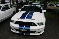 2011 Mustang Treffen Birrfeld (CH) 2011 Mustang Treffen Birrfeld (CH)