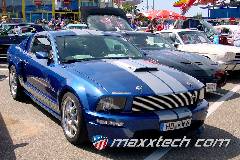 gallery_2012_sinsheim_008.jpg