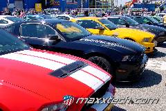 gallery_2013_sinsheim_048.jpg gallery_2013_sinsheim_048.jpg