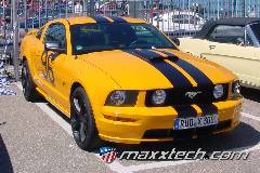 gallery_2013_sinsheim_058.jpg gallery_2013_sinsheim_058.jpg