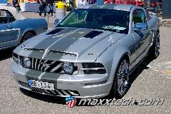 gallery_2013_sinsheim_065.jpg gallery_2013_sinsheim_065.jpg