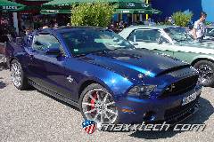 gallery_2013_sinsheim_066.jpg gallery_2013_sinsheim_066.jpg