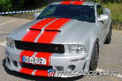 gallery_2013_sinsheim_070.jpg gallery_2013_sinsheim_070.jpg