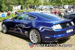 gallery_2017_rust_053.jpg gallery_2017_rust_053.jpg