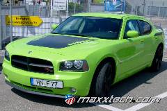 gallery_2017_sinsheim_527.jpg gallery_2017_sinsheim_527.jpg