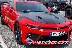 gallery_2024_sinsheim_600.jpg gallery_2024_sinsheim_600.jpg