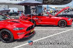 gallery_2024_sinsheim_619.jpg gallery_2024_sinsheim_619.jpg