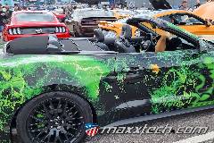 gallery_2024_sinsheim_939.jpg gallery_2024_sinsheim_939.jpg