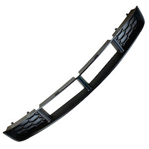 Motorcraft Lower Grille Insert (05-09 Ford Mustang GT)