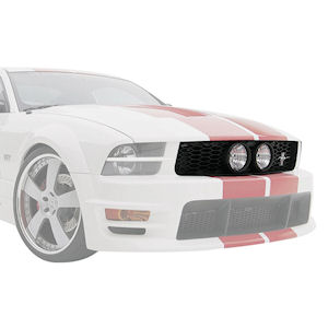 3D Carbon Eleanor Front Grille Insert Ford Mustang S197