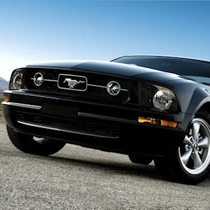 Motorcraft Pony Package Grill f�r 05-09 Ford Mustang V6