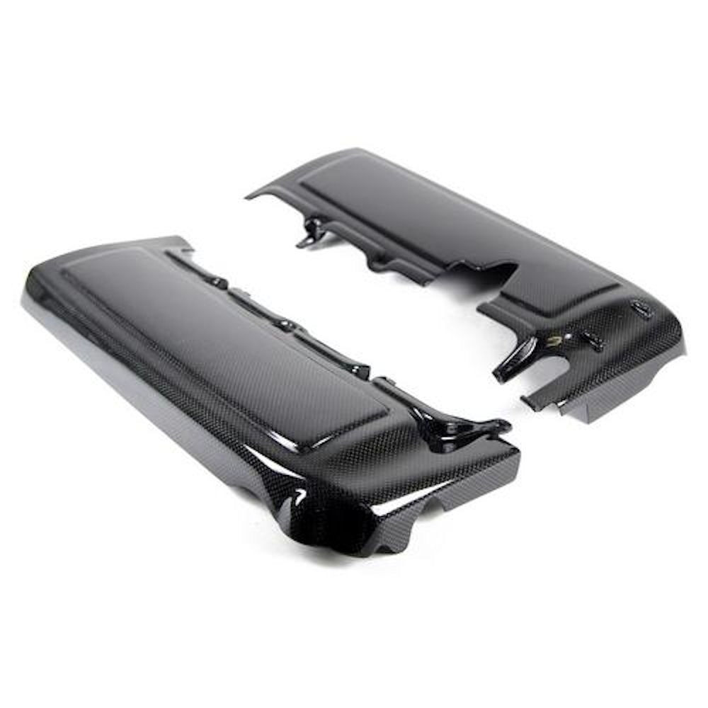 Fuel Rail Covers (Carbon Fiber) 05-10 Ford Mustang GT