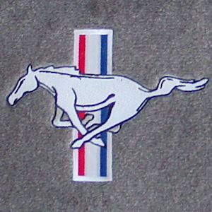 Auto Custom Carpets Fussmatten (1994-2004 Ford Mustang)