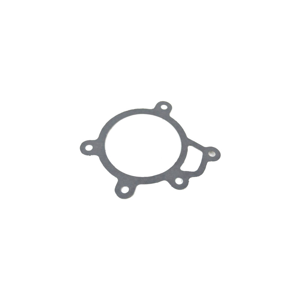Gasket - Water Pump (Mopar) 92-02 Dodge Viper