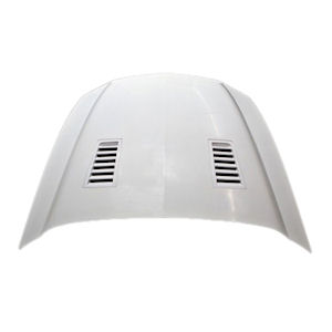 A53KR Fiberglass Ram Air Hood for 2010-14 Shelby GT500