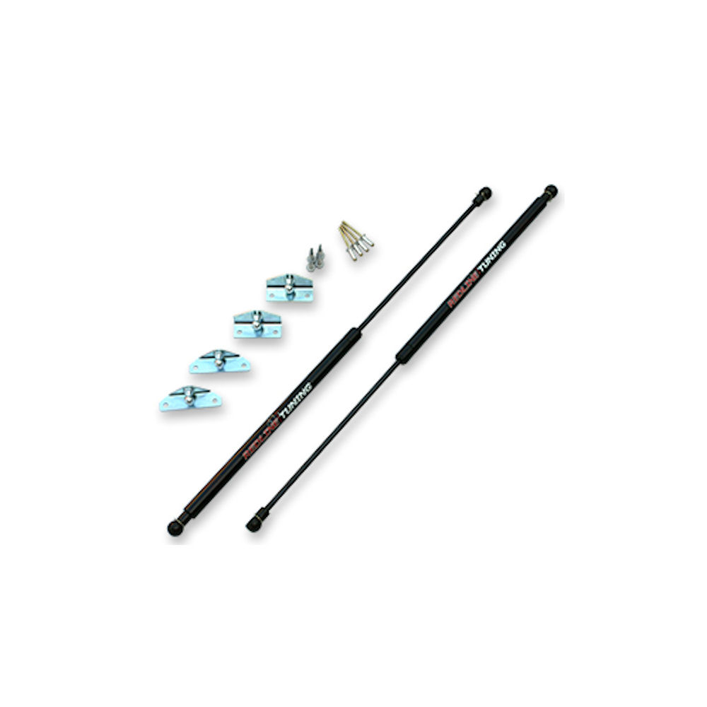 Hood Lift Struts (QuickLIFT) 02-09 Chevy Trailblazer