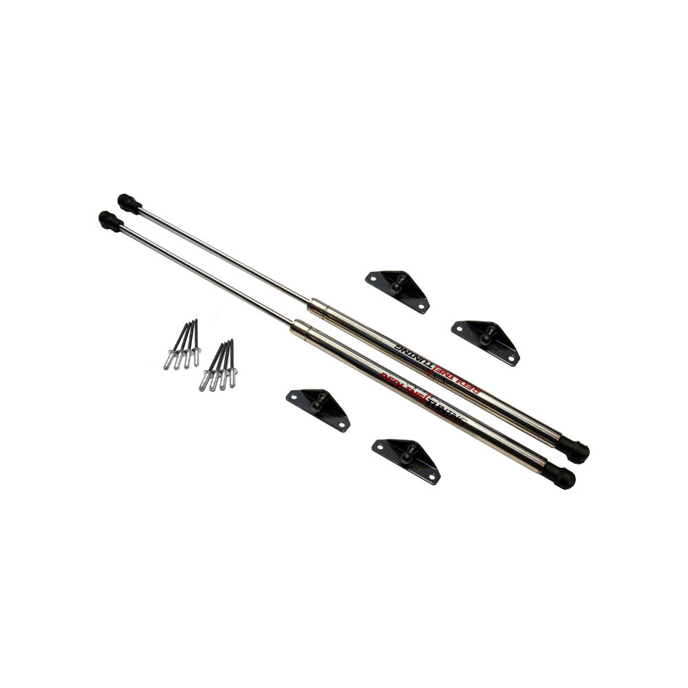 Hood Lift Struts (QuickLIFT Elite) 06-10 Dodge Charger