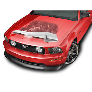 Cervinis 1176 Haube Kaltluft für 2005-09 Ford Mustang Cervinis 1176 Haube Kaltluft für 2005-09 Ford Mustang
