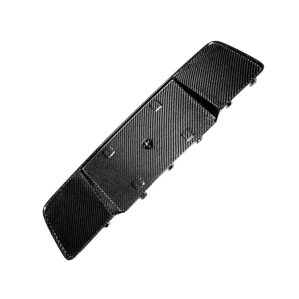 License Plate Pocket Rear (Carbon) 13-14 Ford Mustang