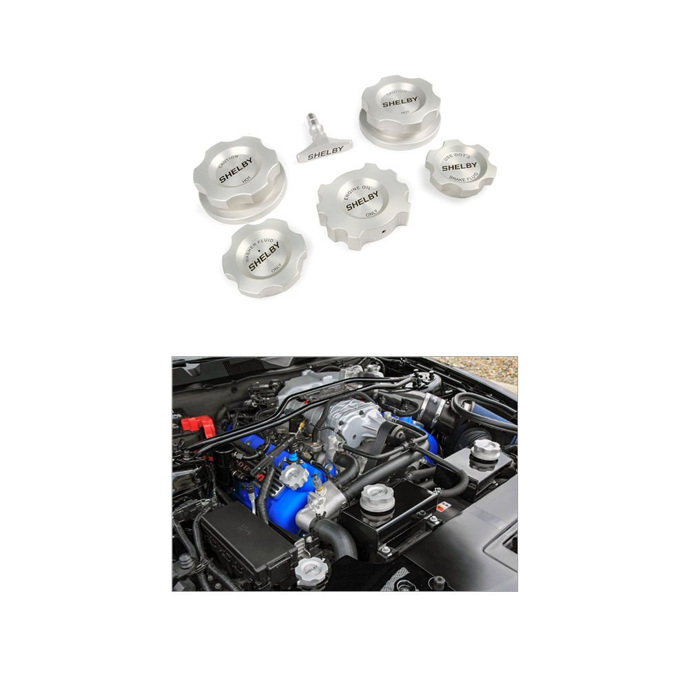 Motordeckel-Set Super Snake (Satin) 10-14 Shelby GT500