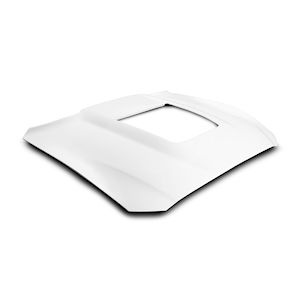 Cervinis Heat Extractor Motorhaube (16-20 Shelby GT350) Cervinis Heat Extractor Motorhaube (16-20 Shelby GT350)