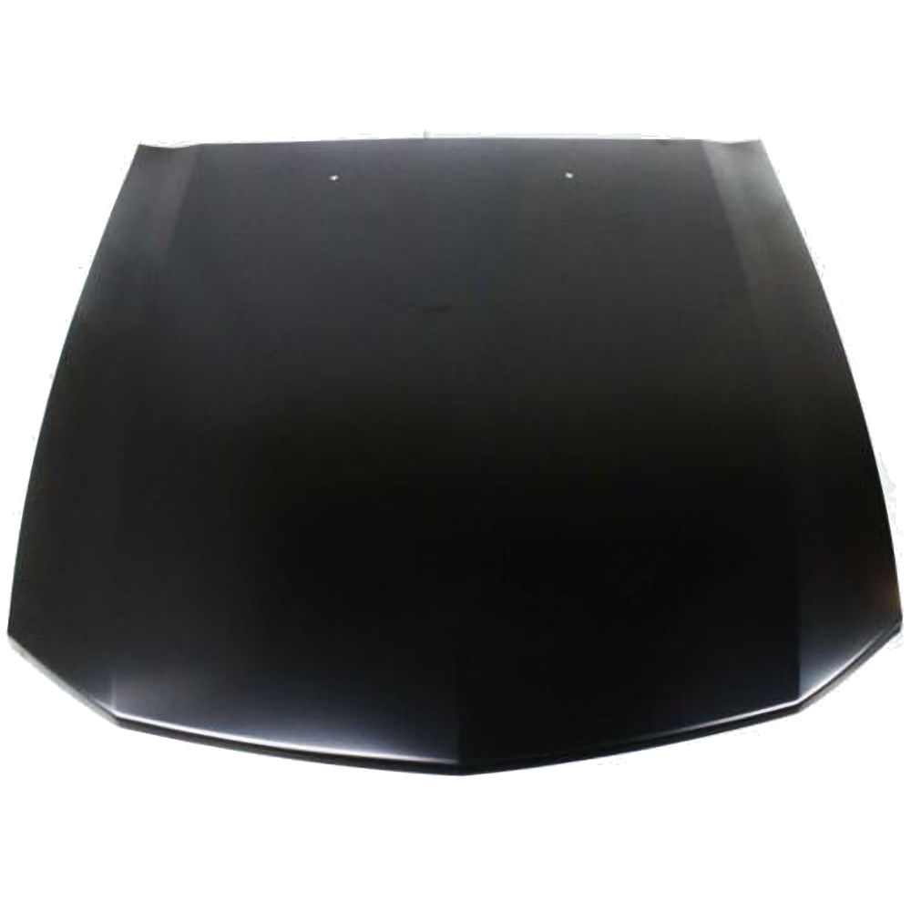 Motorhaube (OEM) 05-09 Ford Mustang GT/V6