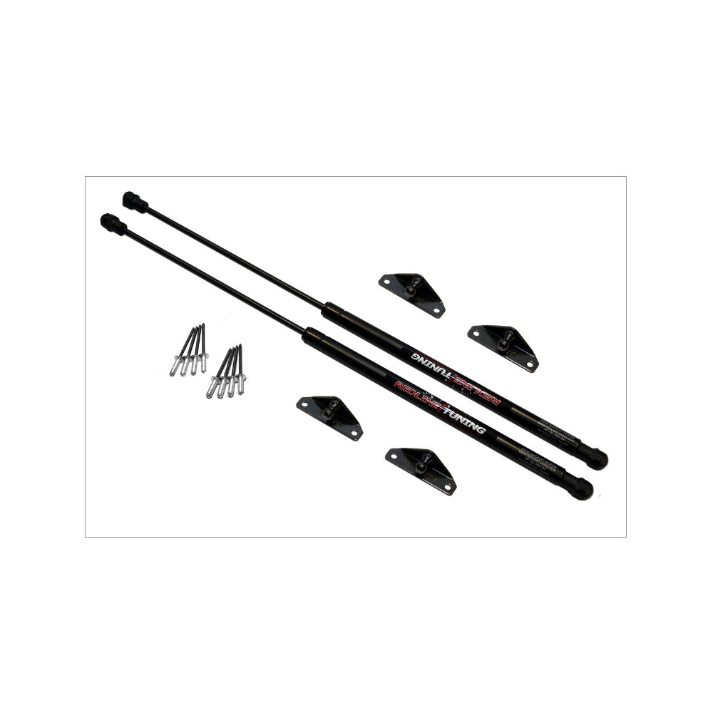 Motorhaubend�mpfer (QuickLIFT Plus) 02-09 Chevy Trailblazer