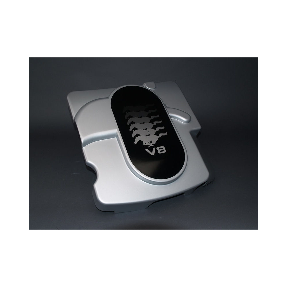 Plenum Cover (Silver/Black) 99-04 Ford Mustang GT