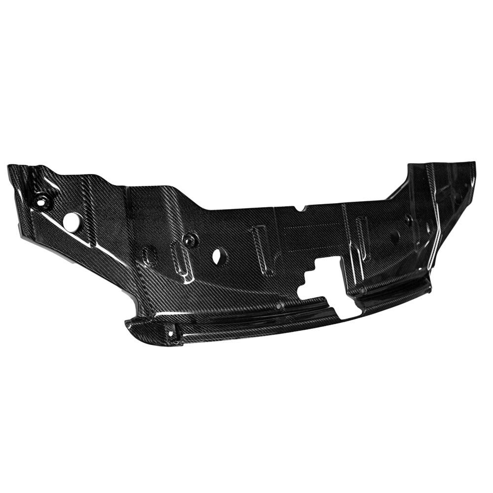 Radiator Cover LG137 (Carbon) 13-14 Ford Mustang