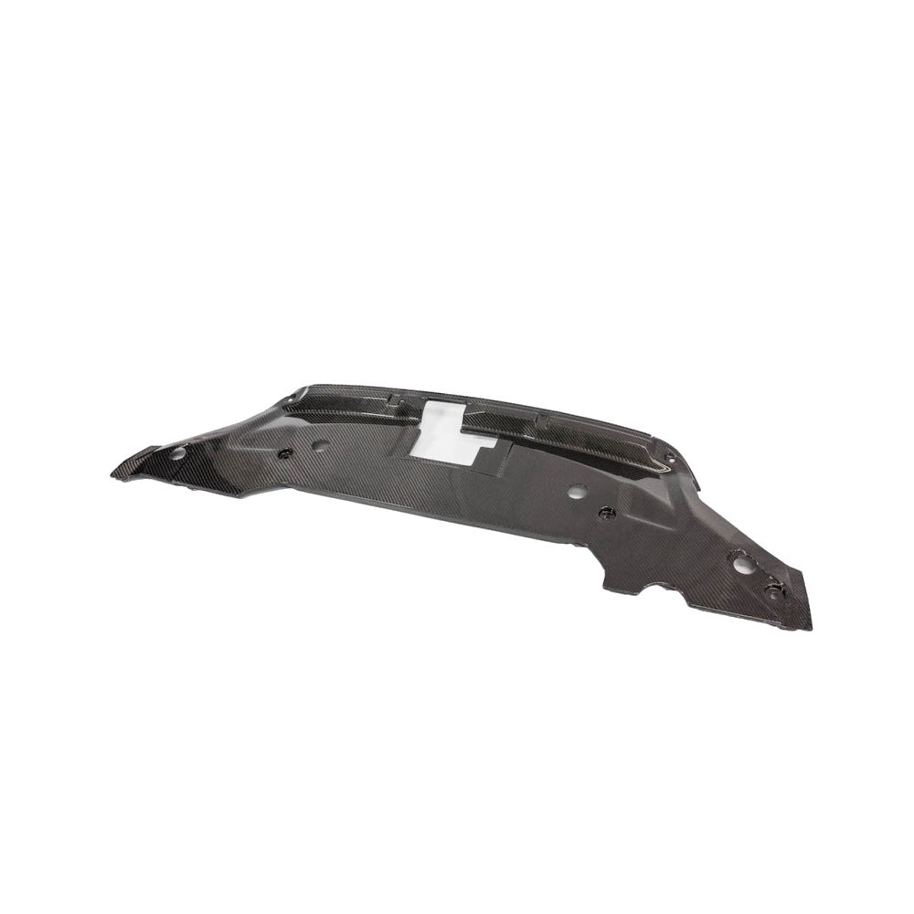 Radiator-Cover LG46KR (Carbon) 10-14 Shelby GT500