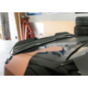 TruFiber Carbon Rear Spoiler (2008-23 Dodge Challenger)