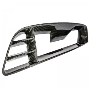 Frontgrill-Einsatz \(Karbon\) 13-14 Ford Mustang GT